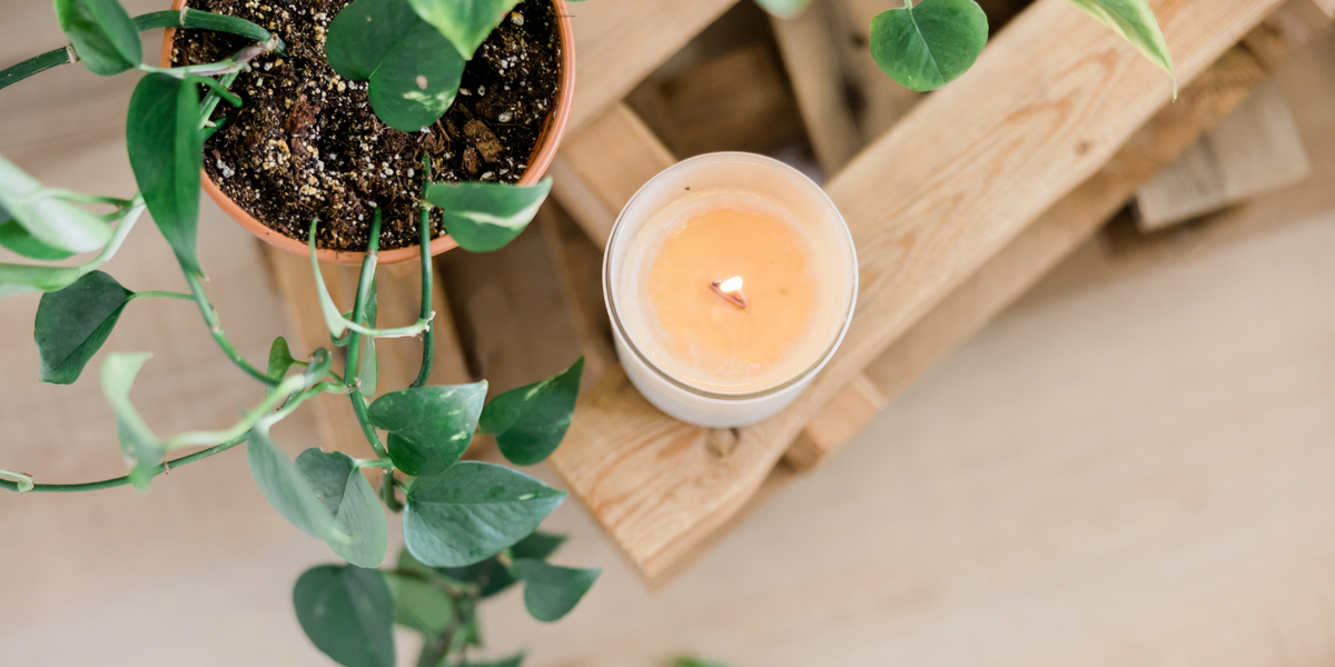 Finding Calm and Creativity: My Candle-Making Class Experience